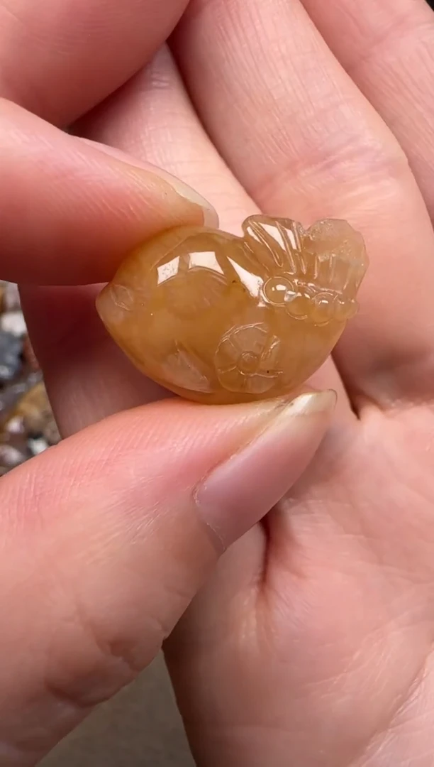 硅化珊瑚（珊瑚玉）未镶嵌颈饰590
