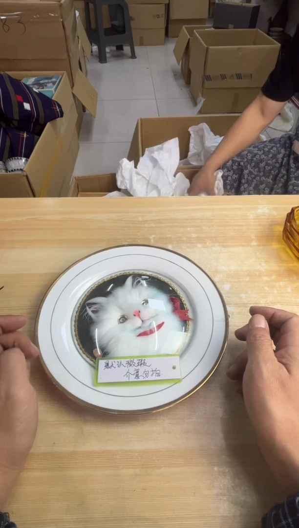 陶瓷东**逛默认微瑕，no退no换，介意勿拍