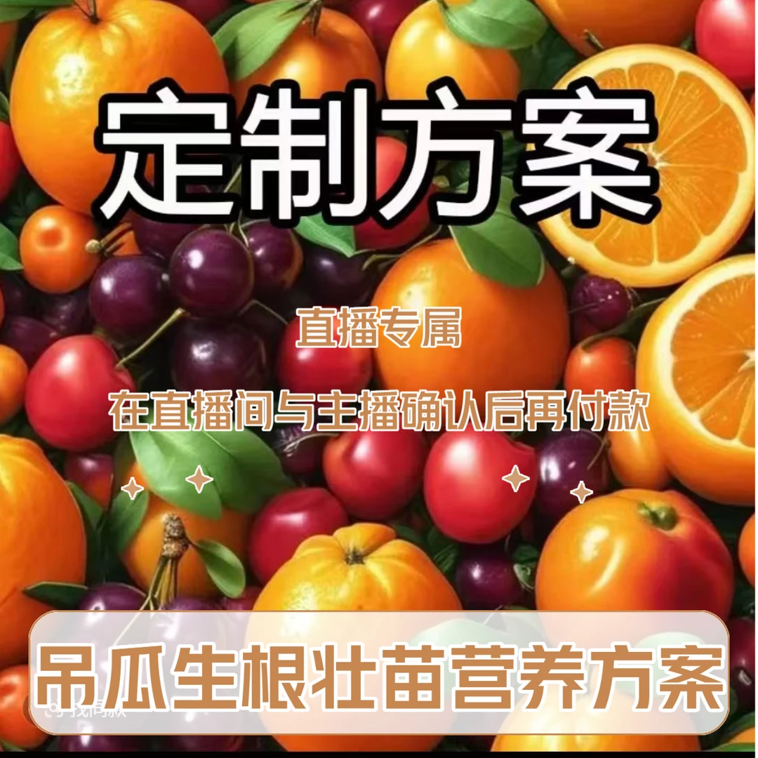 吊瓜生根壮苗营养方案直播专属