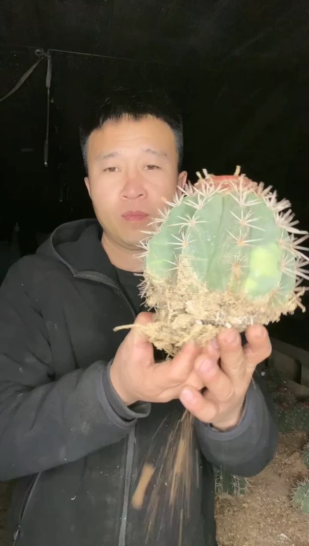 【闪购商品】锦云111111