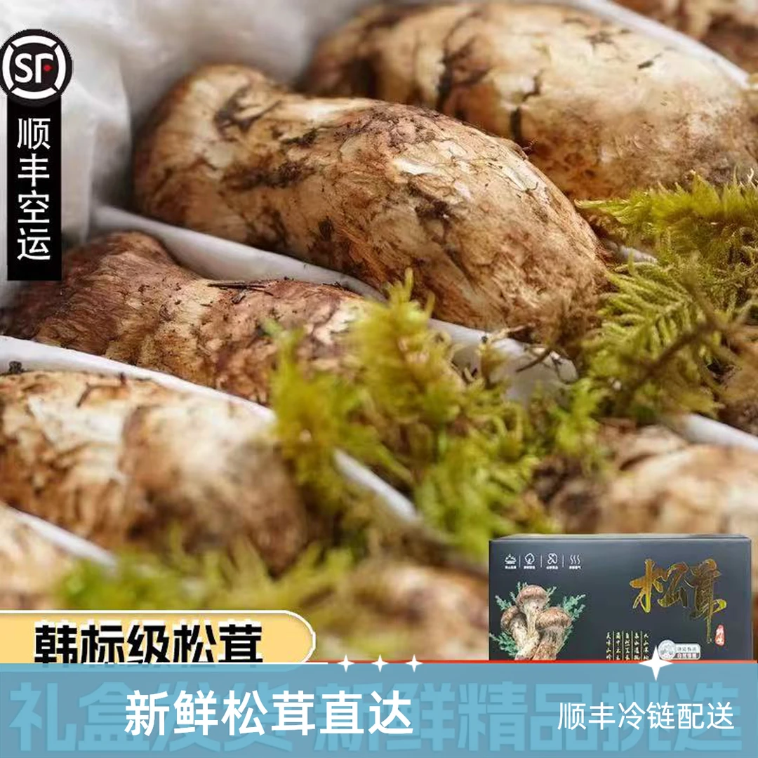 次日达顺丰包邮2025小金松茸松茸