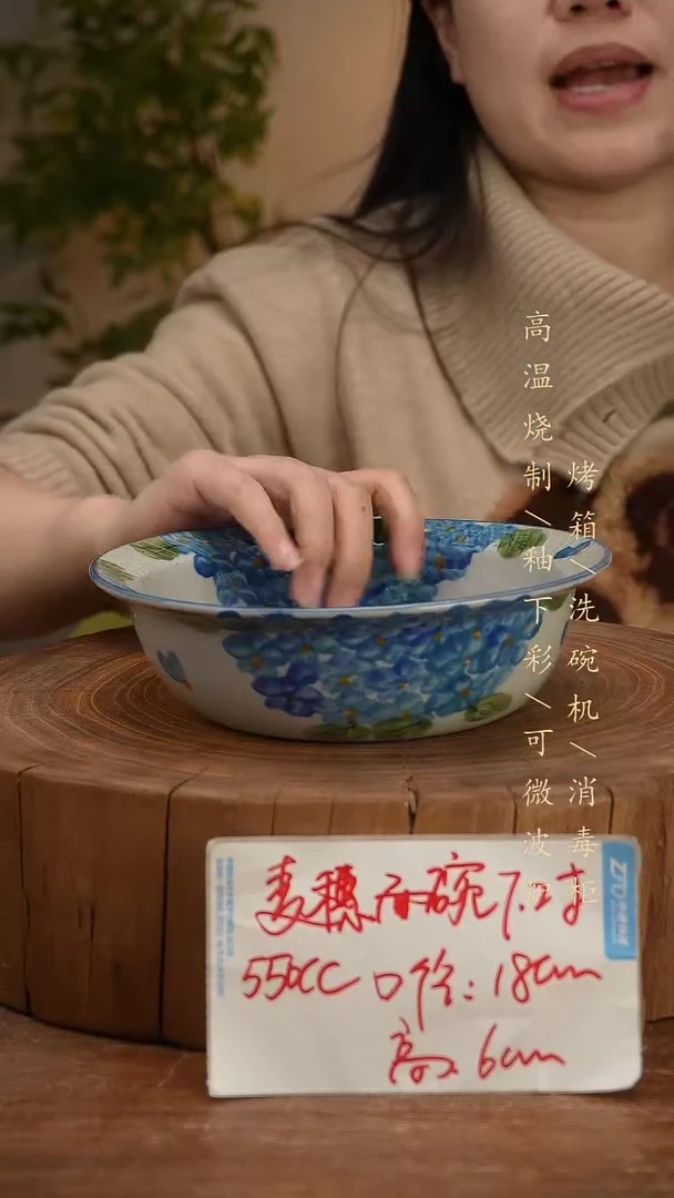 碗瓷景德镇手工手绘高温瓷釉下彩