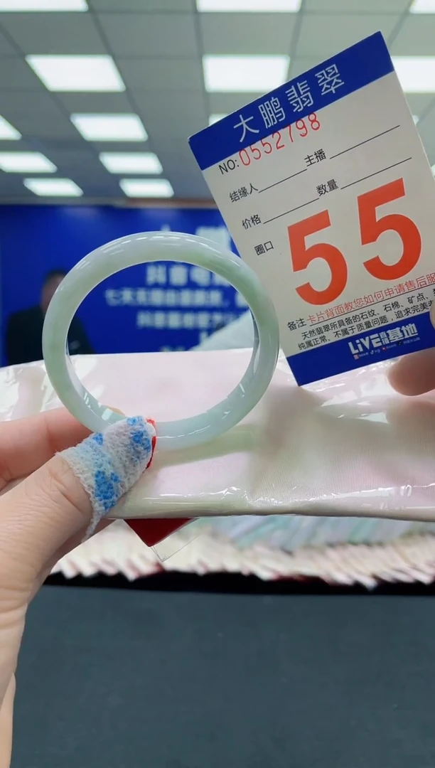 未镶嵌手镯翡翠AAAAAAAAAA