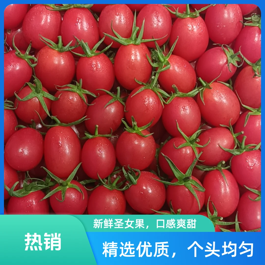 爆浆千禧一箱2.3斤左右千禧圣女果广东省三亚市