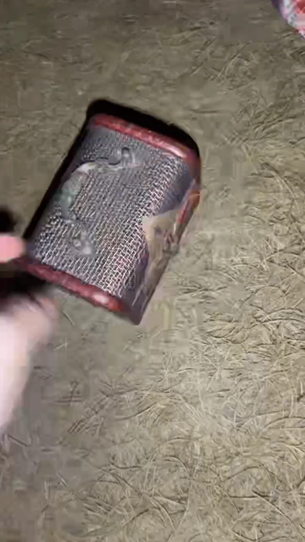 香榧木一一一一一一一一福利