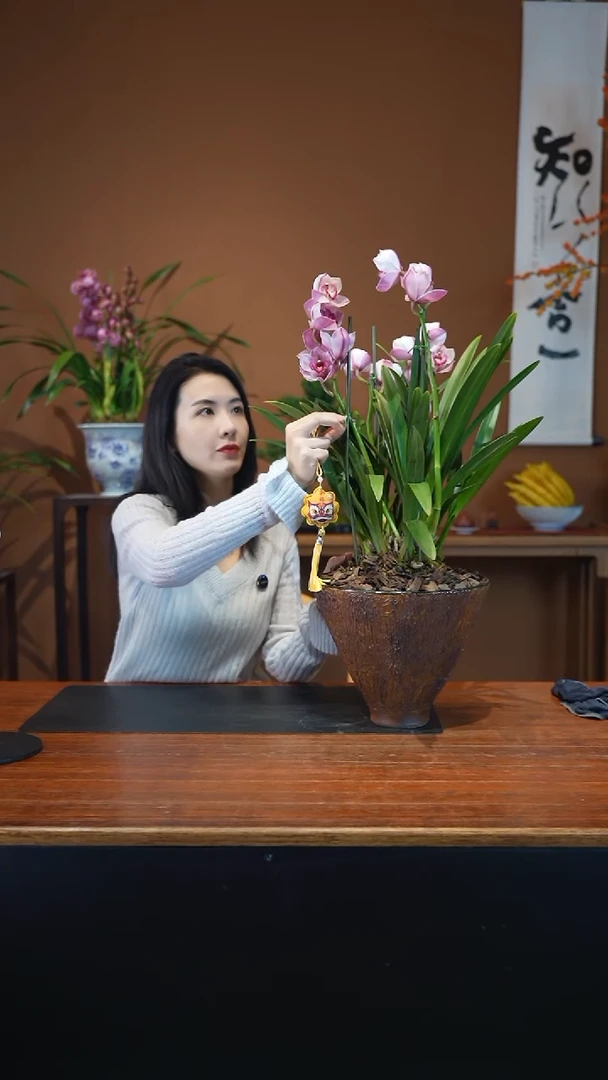 全部花朵粉黛土色盆