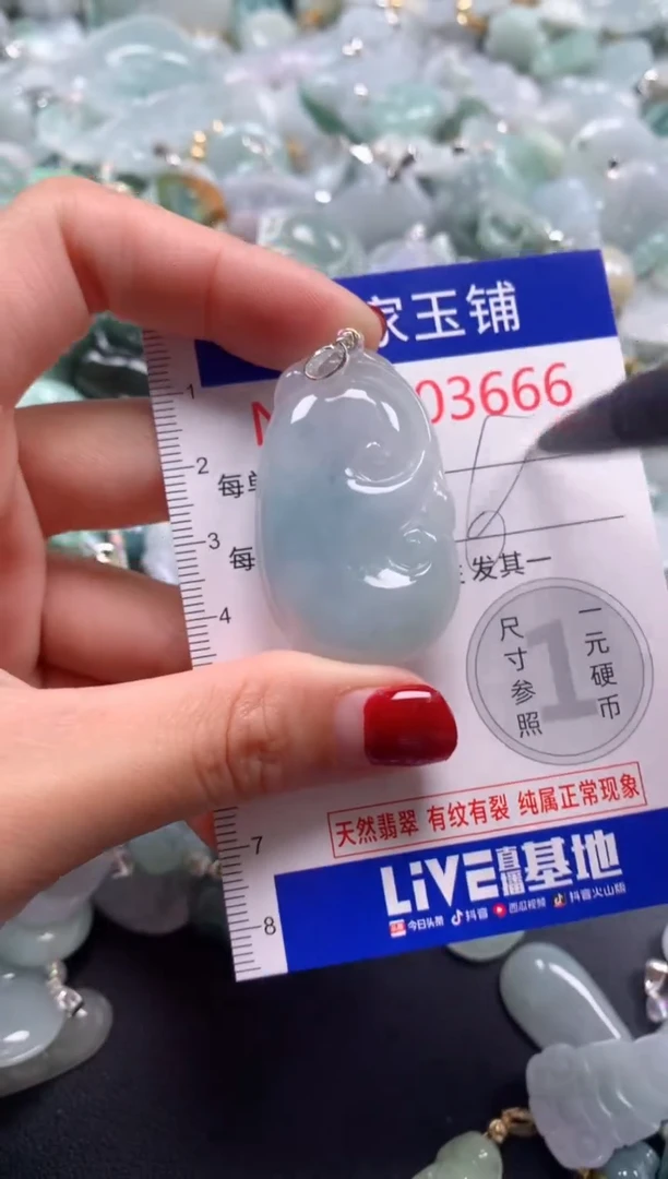 颈饰未镶嵌翡翠3666