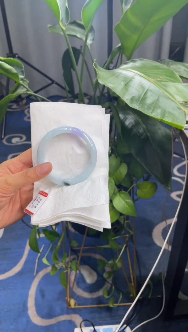 未镶嵌手镯翡翠9730****