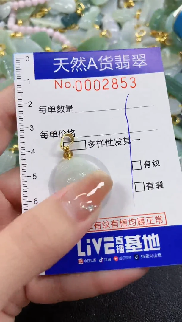 颈饰未镶嵌翡翠天然A货翡翠