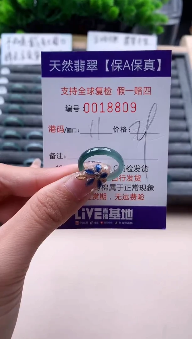 未镶嵌戒指翡翠18809