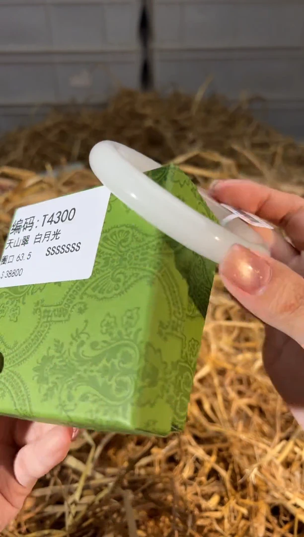 未镶嵌手镯石英质玉T4302