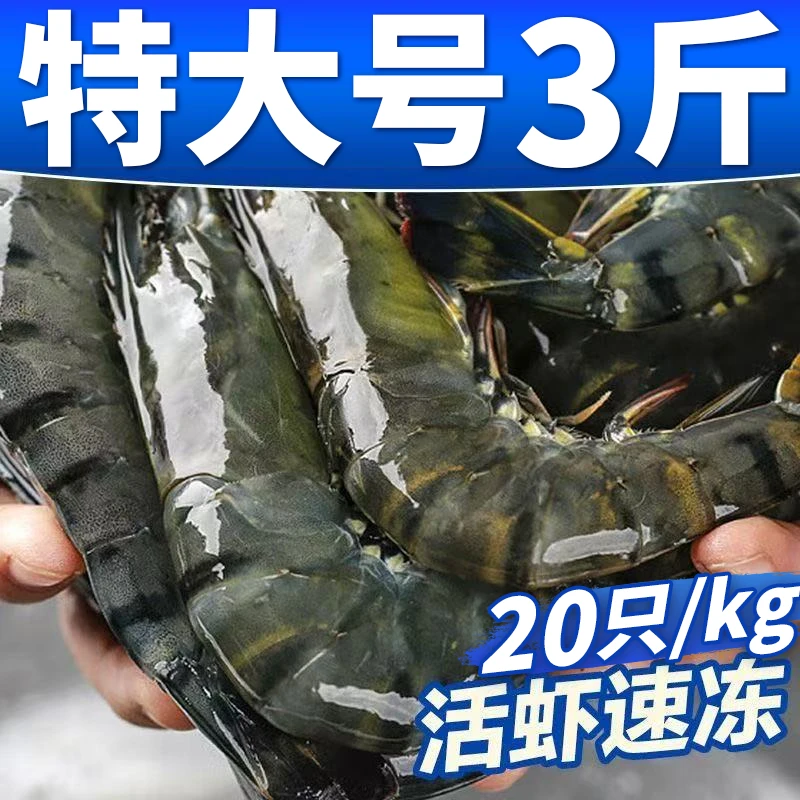 3斤黑虎虾特大号新鲜活虾速冻超大老虎虾海虾