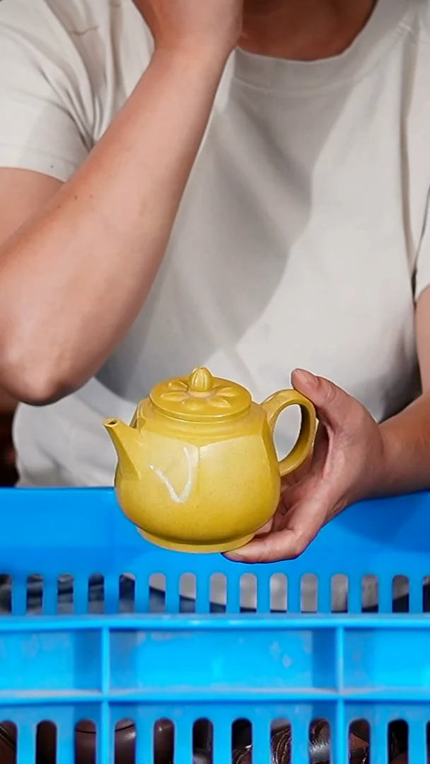 宜兴原矿紫砂壶茶壶250C