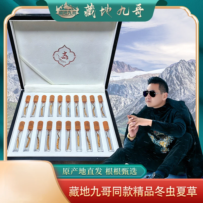 藏地九哥冬虫夏草礼盒20根装过年送礼养生滋补年货
