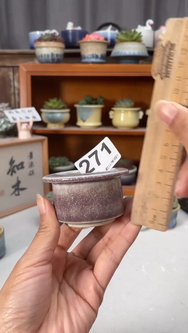 瓷片271知木小芳花盆