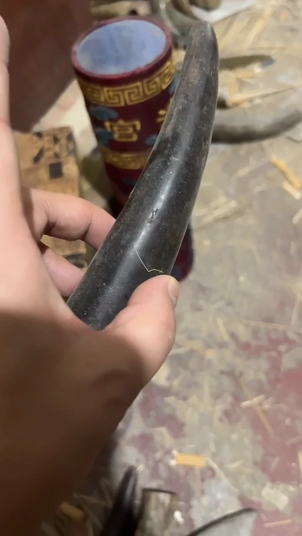 紫砂紫砂紫砂紫砂紫砂紫砂紫砂