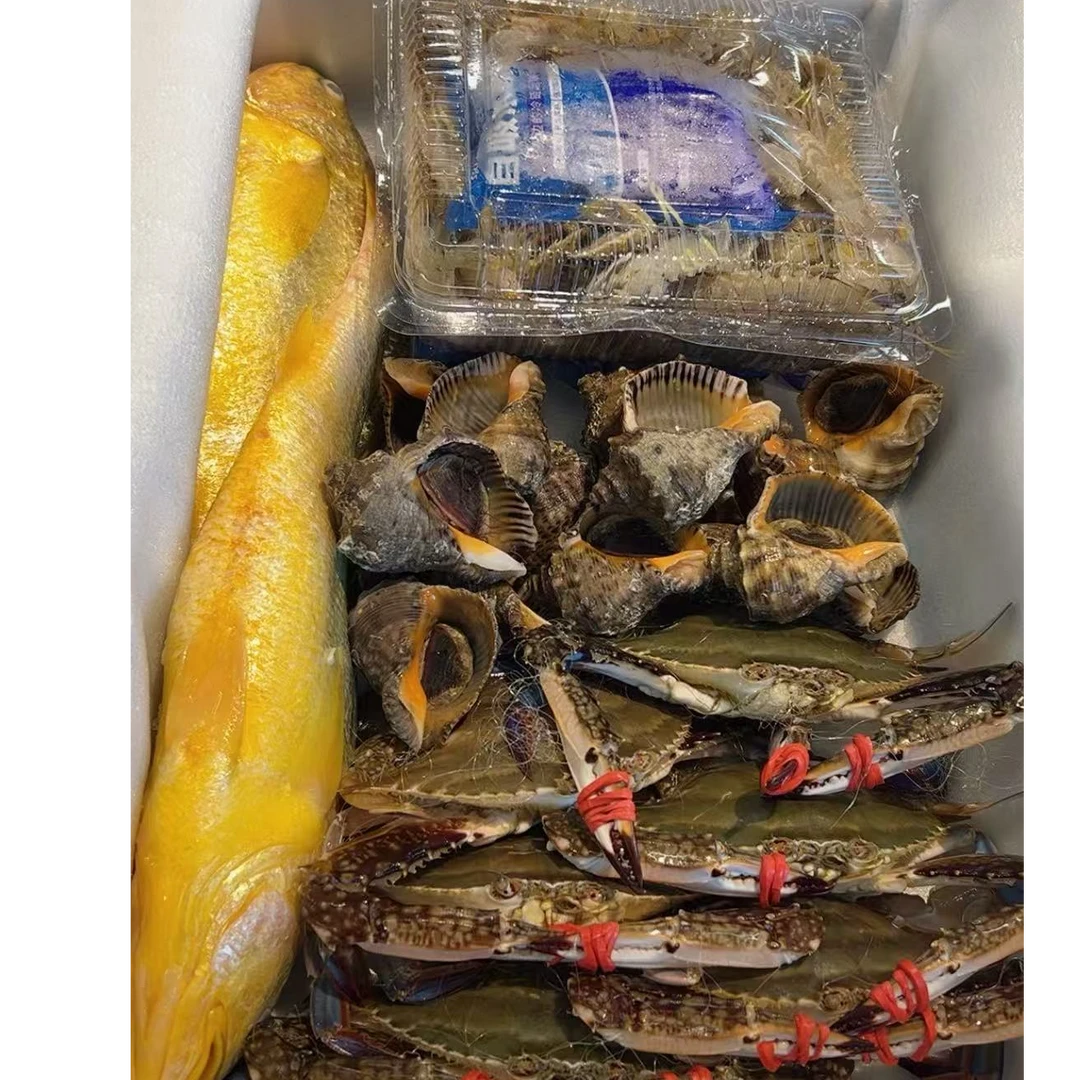 鲜活海鲜礼包【4种海鲜拼搭】鲜活发货【保鲜不保活】
