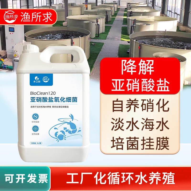 水之国亚硝酸盐氧化菌 降解亚硝酸盐 循环水养殖 自养硝化活菌