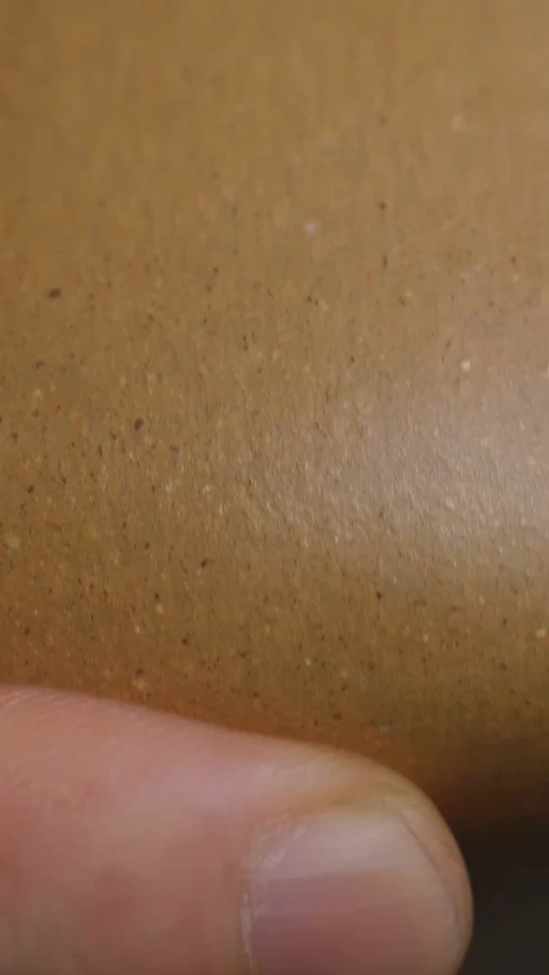 茶壶紫砂半手黄金段景舟230cc