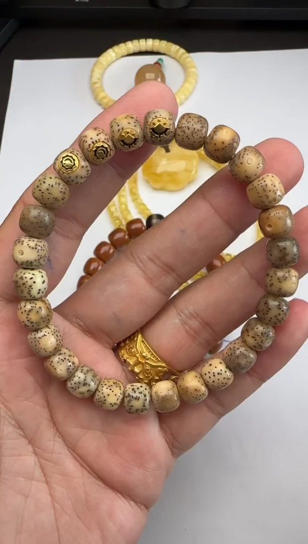 手串星月菩提中午好呀