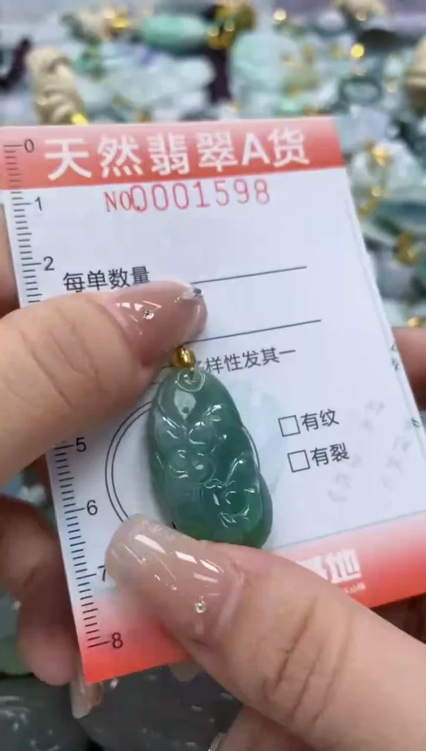 翡翠未镶嵌颈饰闪购0001598