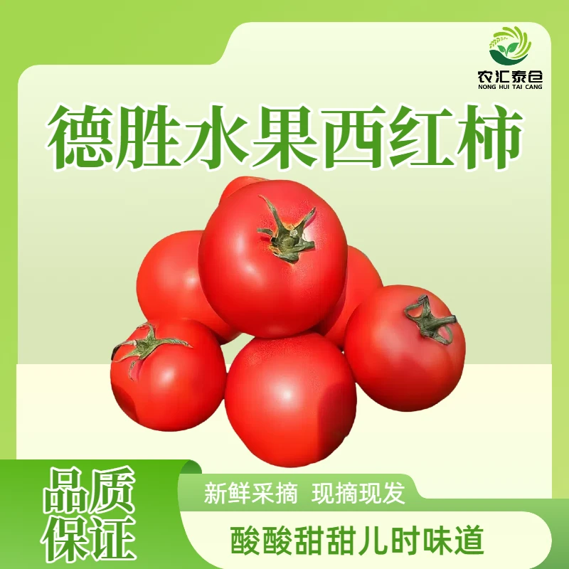 张家口德胜水果西红柿自然成熟酸甜可口当季新鲜水果