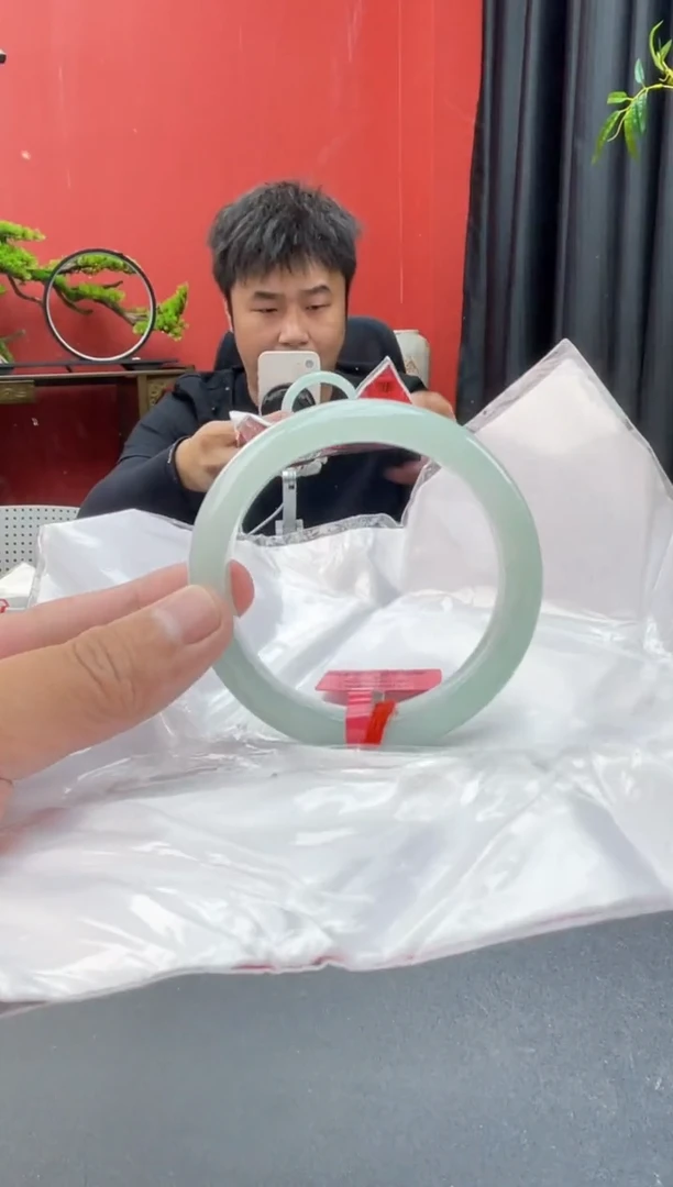 未镶嵌手镯翡翠15