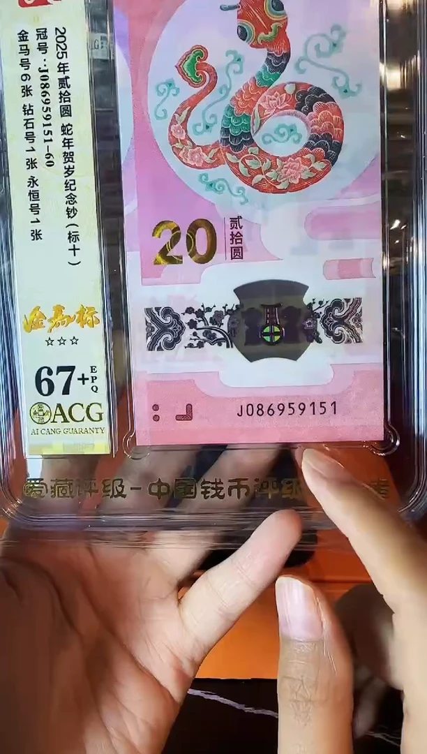 塑料2025蛇钞 爱藏标十  啊啊啊啊