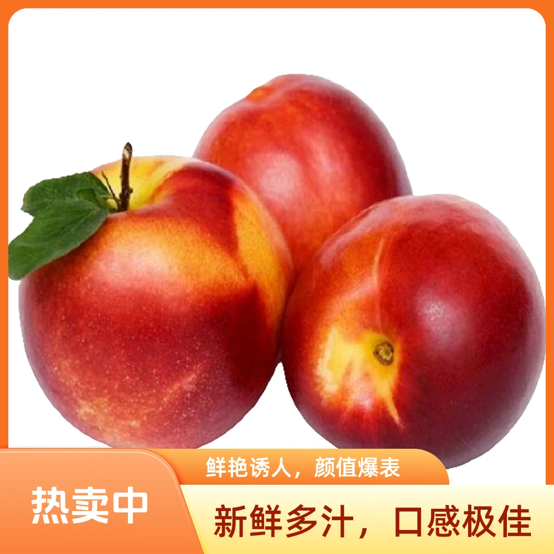 【金都乐】智利油桃36大果4斤装（二店）