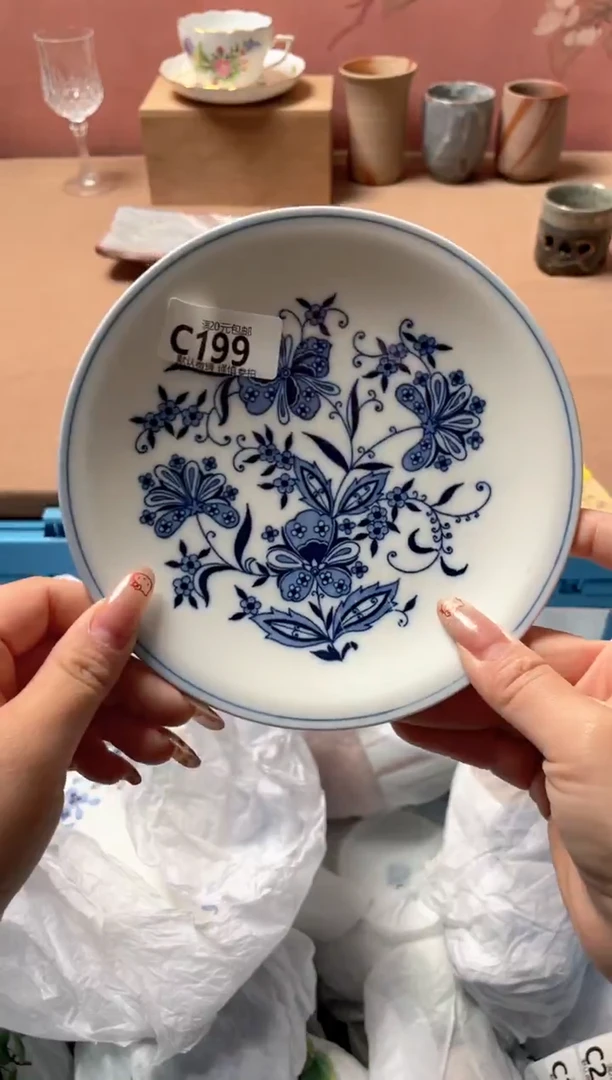 瓷片瓷器瓷器C199