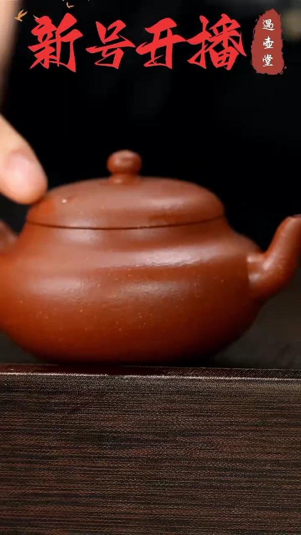 【闪购商品】紫砂茶壶原矿手工紫砂壶1把