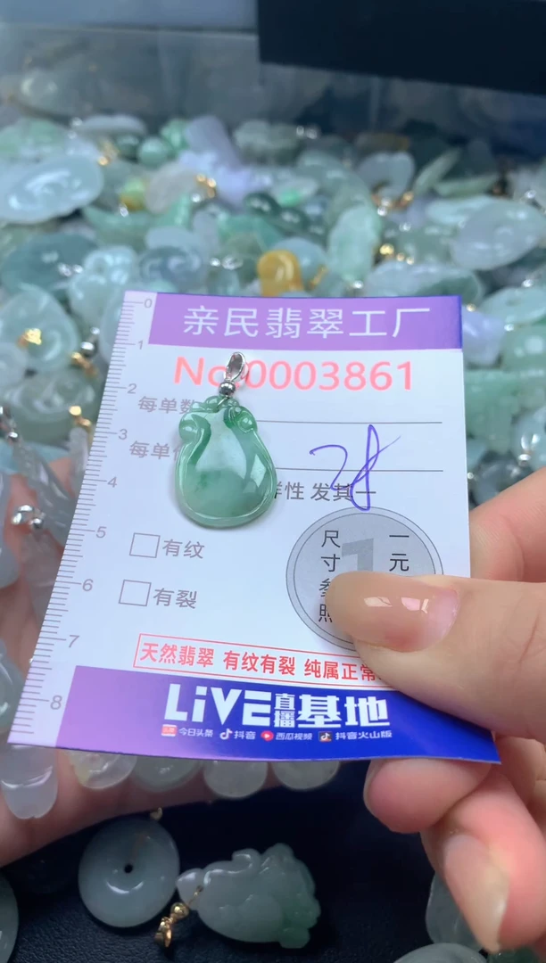 颈饰未镶嵌翡翠W***I3861