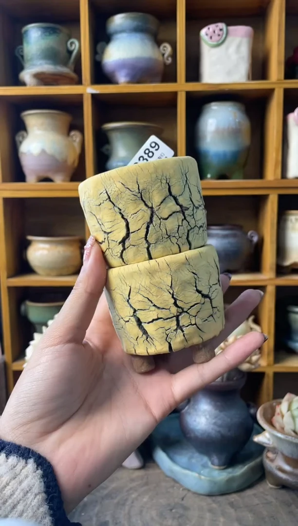 389内口5.5【多肉花盆多肉盆】