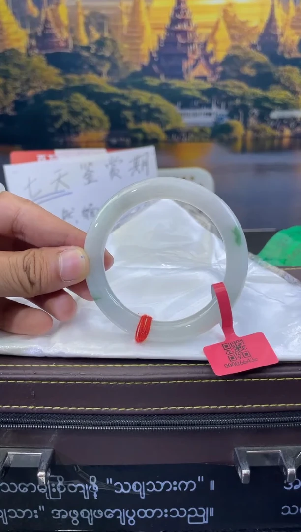 未镶嵌手镯翡翠9