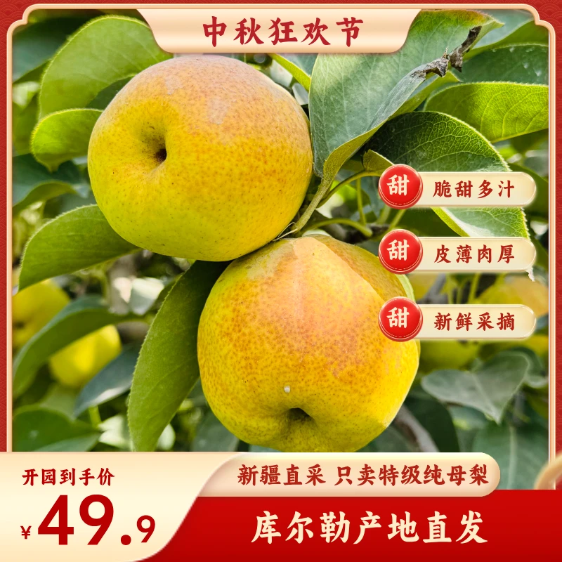 【顺丰包邮】新疆正宗库尔勒直发薄皮香梨当季新鲜水果脆甜多汁