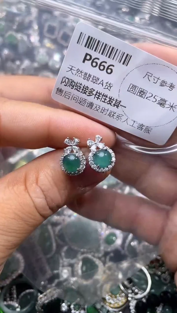 【闪购商品】翡翠颈饰未镶嵌P666耳钉
