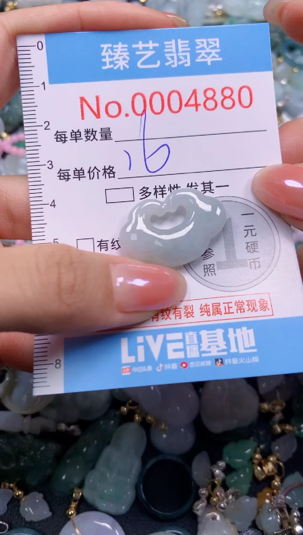 颈饰未镶嵌翡翠4880