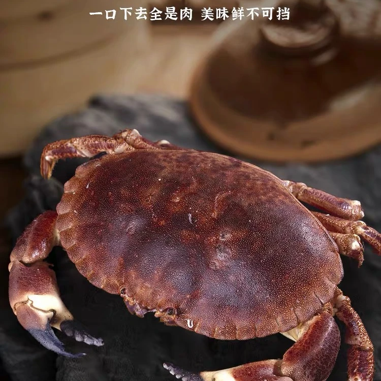 面包蟹2.5斤以上江浙沪充氧气其他省冷冻发个别断脚【保鲜不包活】
