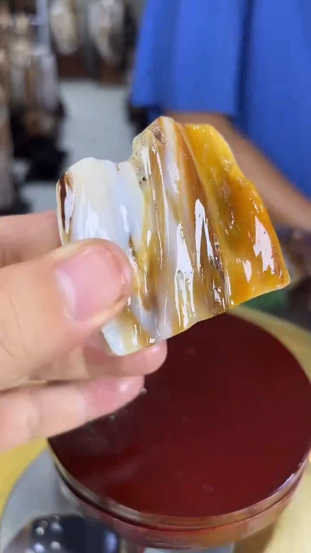 硅化玉珠宝奇石未镶嵌缅甸天然树化玉摆件