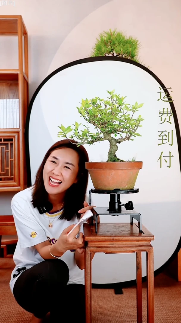 栀子花11111111111111