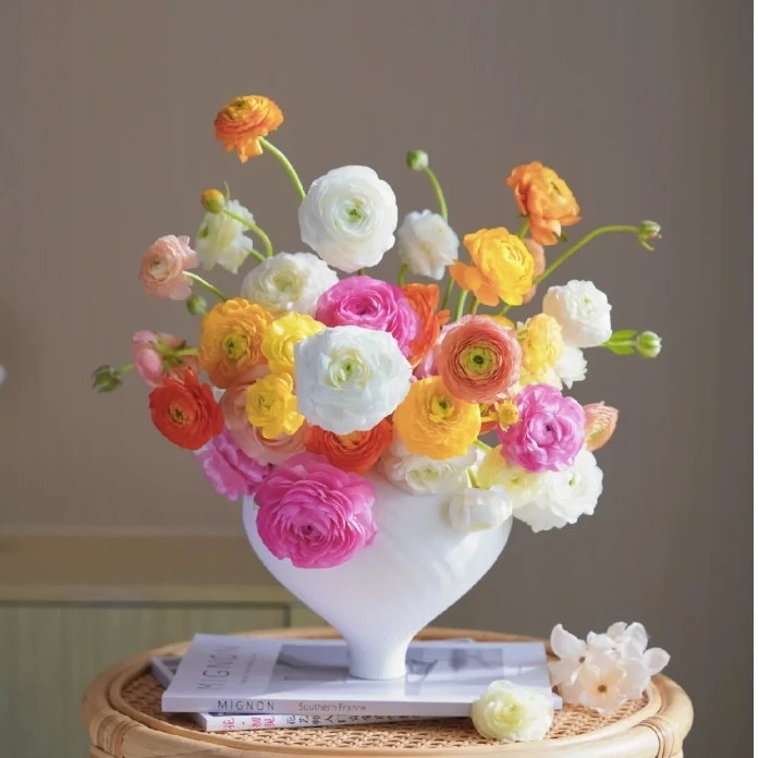 【探花甄选】洋牡丹 云南斗南基地直发 两单顺丰冷链