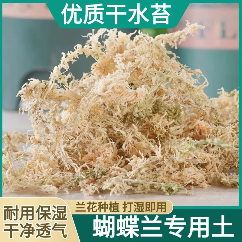 【懒蝶--水苔】蝴蝶兰基地用保水透气兰科通用