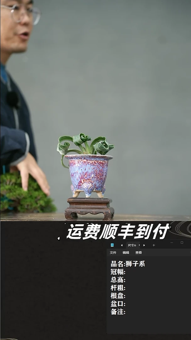 【闪购商品】11 狮子系