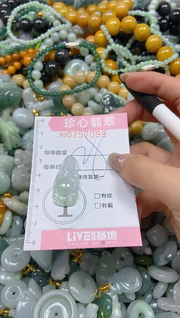 翡翠未镶嵌颈饰闪购0257099