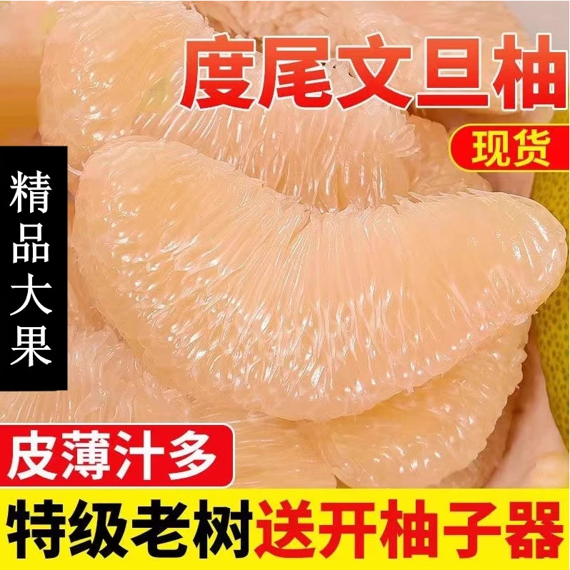 福建莆田度尾文旦柚白心蜜柚柚子新鲜应季水果正宗度尾老树文旦柚