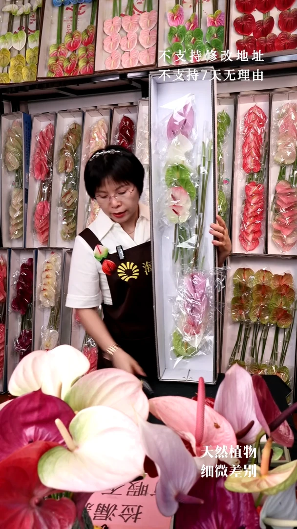 混色G350不售后16支