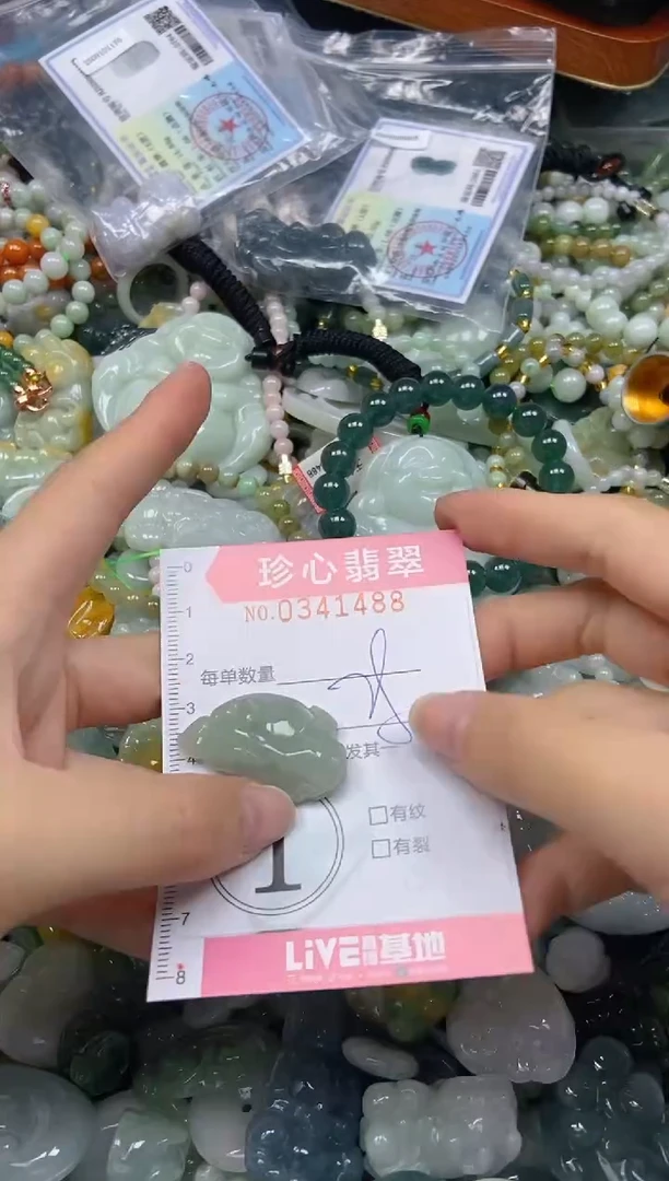 颈饰未镶嵌翡翠闪购0341488