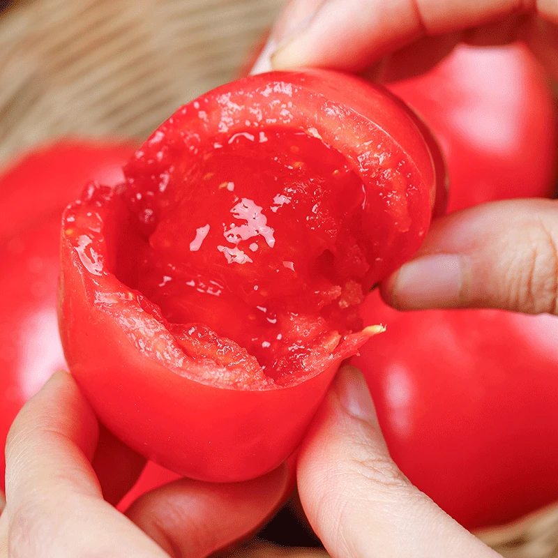 【沙瓤西红柿团单】荔z正宗陕西普罗旺斯（大果）西红柿（1道具=2.5g
