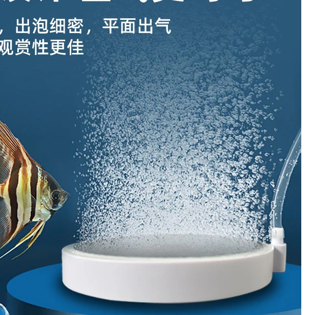 气盘石鱼缸配件需要搭配增氧泵气盘石