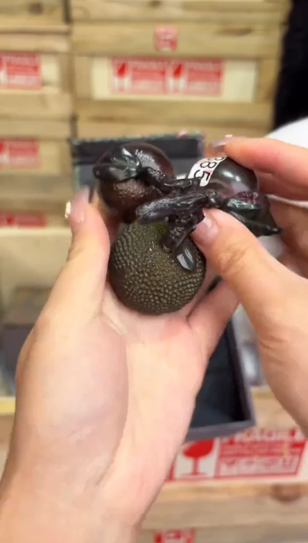 瓷片@@@@@@@@@@@@@@@QH5385